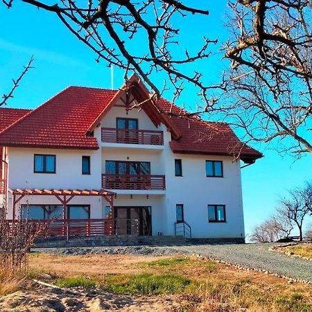 Casa Comilor Bed and Breakfast Surdesti  Exteriör bild