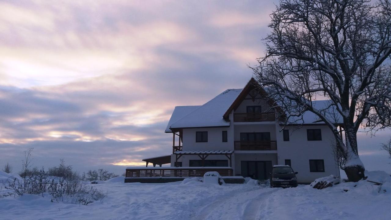 Casa Comilor Bed and Breakfast Surdesti  Exteriör bild