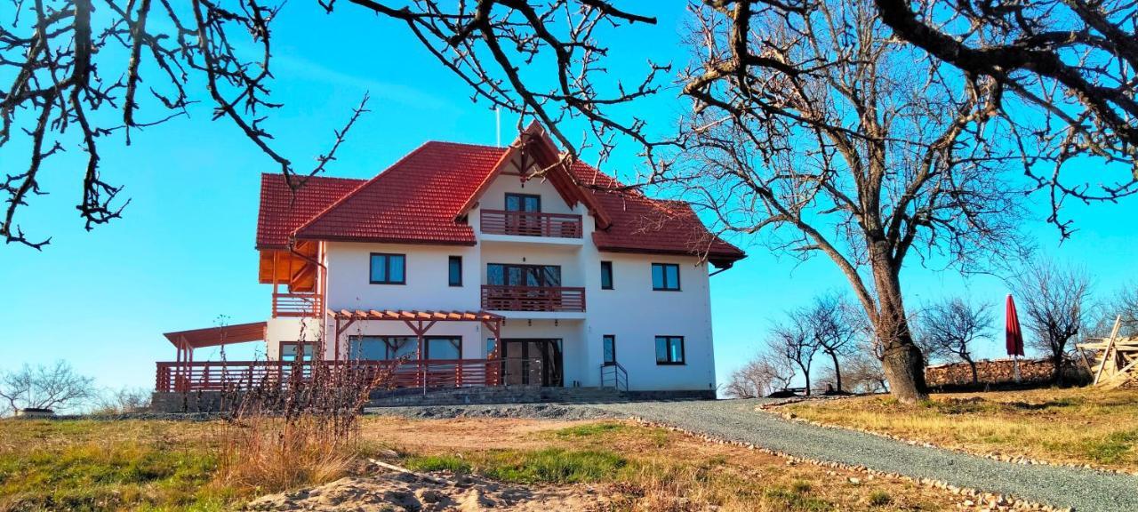 Casa Comilor Bed and Breakfast Surdesti  Exteriör bild