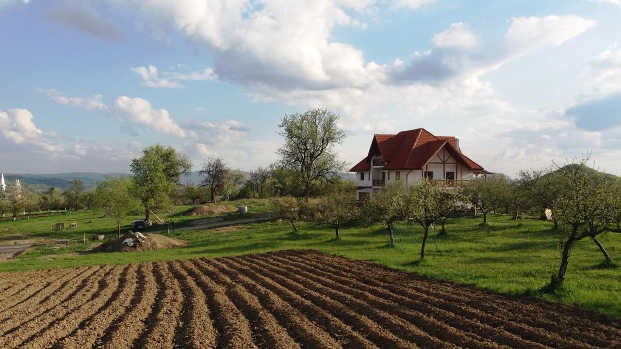Casa Comilor Bed and Breakfast Surdesti  Exteriör bild